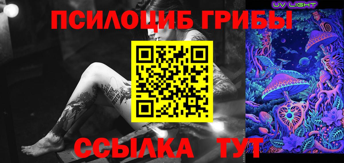 Галлюциногенные грибы GOLDEN TEACHER Прохладный